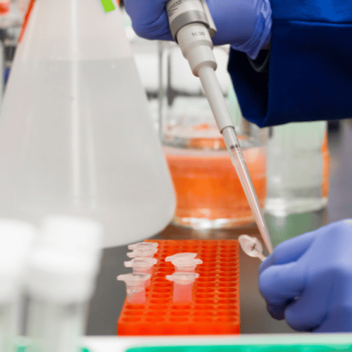 imagen-diagnostica-diagnostico-de-las-americas-examen-de-orina